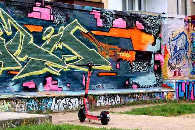 蘑菇视频：多元体验与新手入门