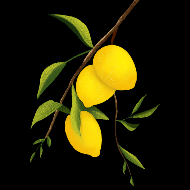 蘑菇视频：多元体验与新手入门