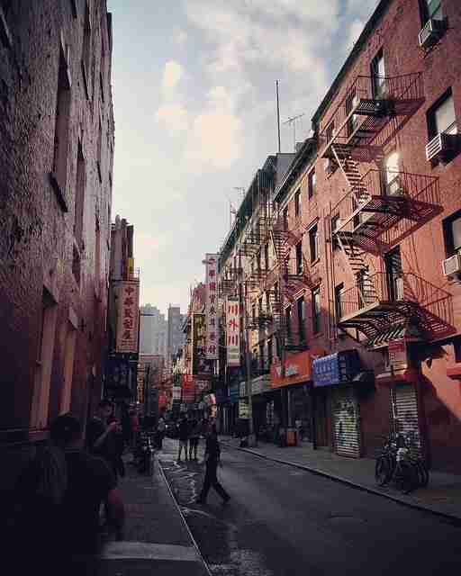 蘑菇视频电脑版：便携揭秘与性能深挖