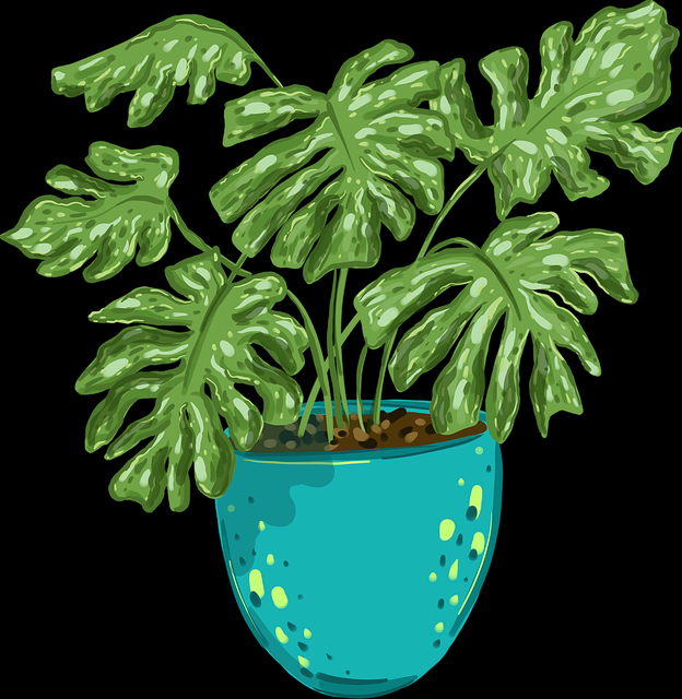 全景升级糖心tv，粉丝经济【收藏】