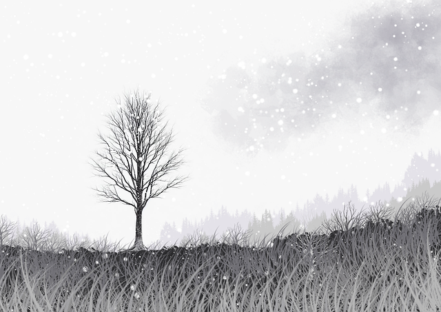 妻社app（专业评测）：互动玩法与常见问题