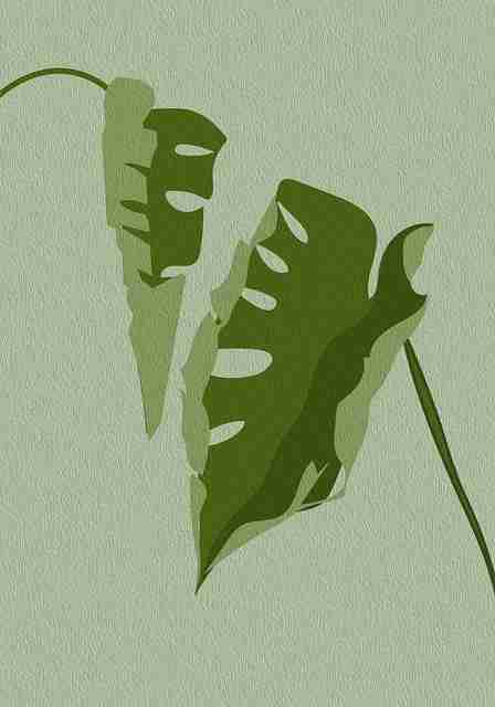 别错过51视频网站！16步玩转内容矩阵