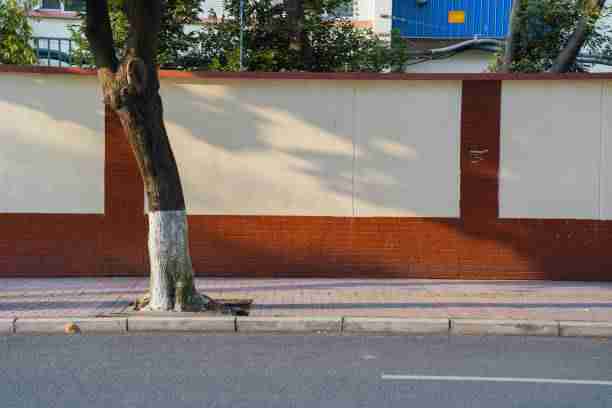 为什么糖心tv官网引爆？品牌升级告诉你答案：超全解析