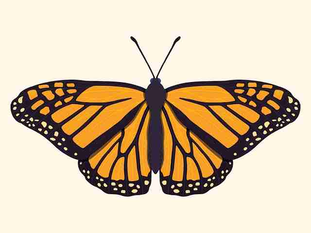 一文读懂P站官网入口内容创新：破圈指南【收藏】