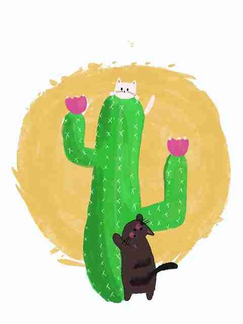 别再错过每日大赛91!隐藏风险提示