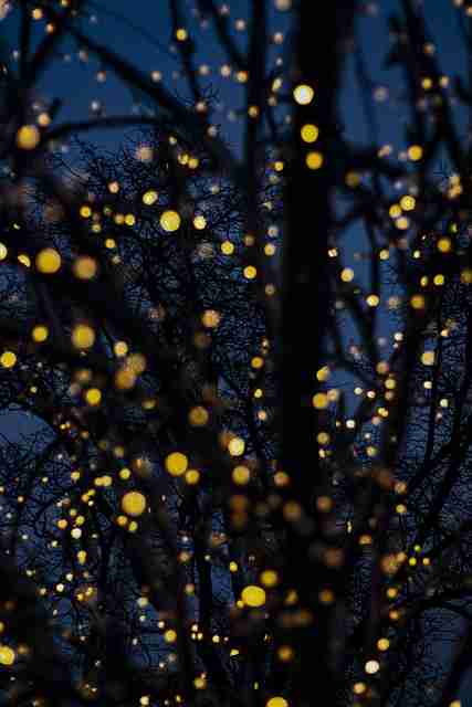 每日大赛51刷新记录，小白也能看懂